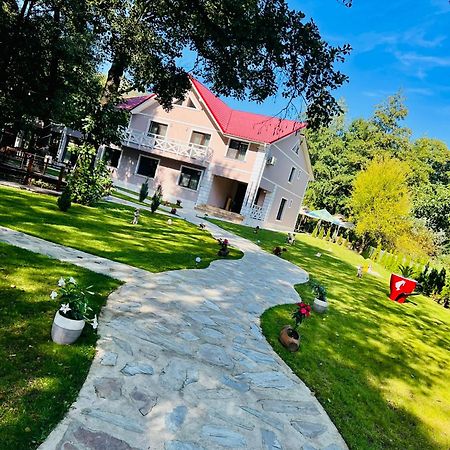فندق Pensiunea Pink House Runcu رونكو المظهر الخارجي الصورة
